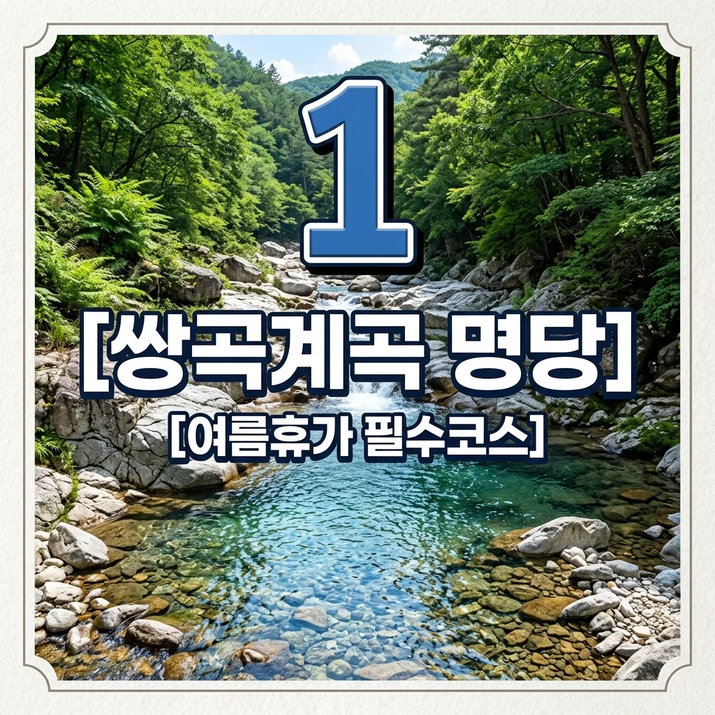 괴산 쌍곡계곡 명당 추천! 주차부터 평상 예약 꿀팁까지 완벽 정리