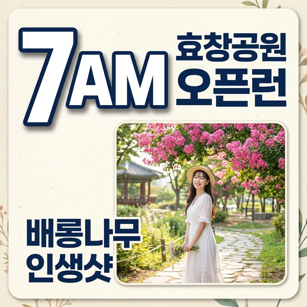 효창공원 카페 오픈런 필수! 배롱나무 명소 인생샷 코스와 꿀팁 총정리