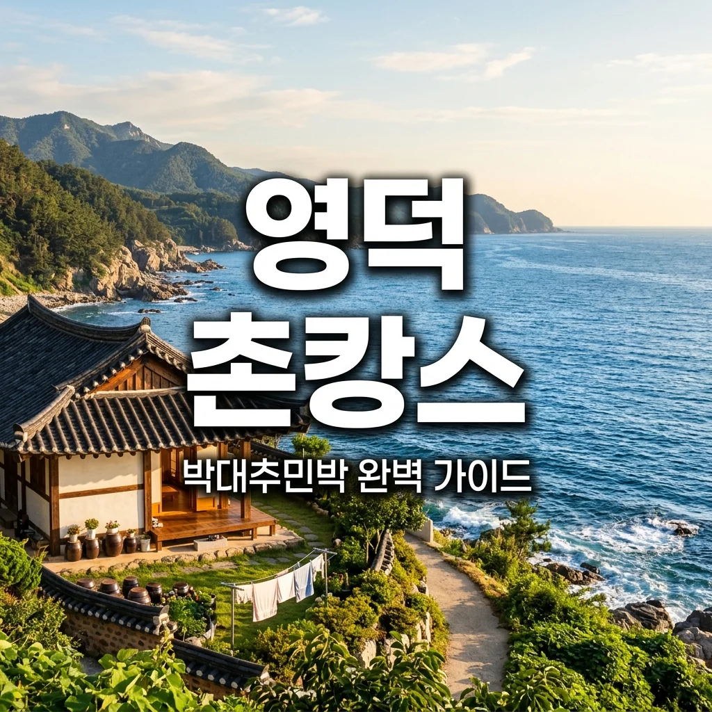 영덕 박대추민박 예약 방법 및 솔직 후기! 오션뷰 가성비 숙소 완벽 가이드