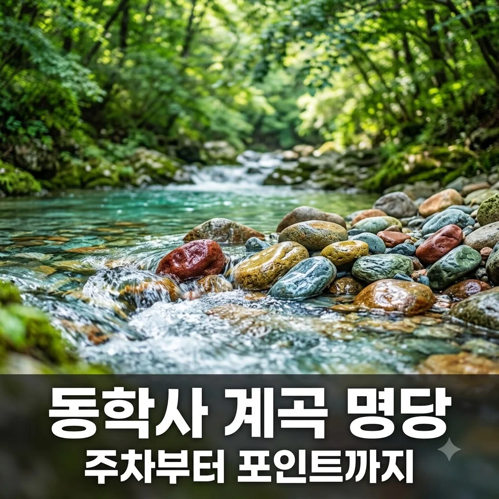 동학사 계곡 물놀이 포인트 및 주차 팁! 2026 방문 전 필수 가이드