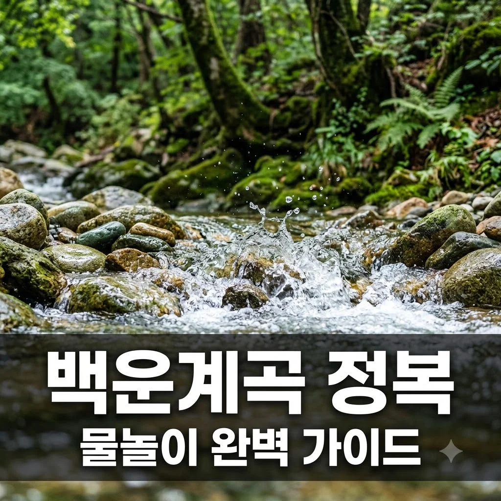 백운계곡 물놀이 완벽 가이드: 명당 추천부터 주차, 맛집까지 총정리