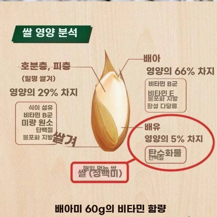 가정용 자동 현미제분기 다기능 도정기 탈곡 분쇄 상세 이미지 2