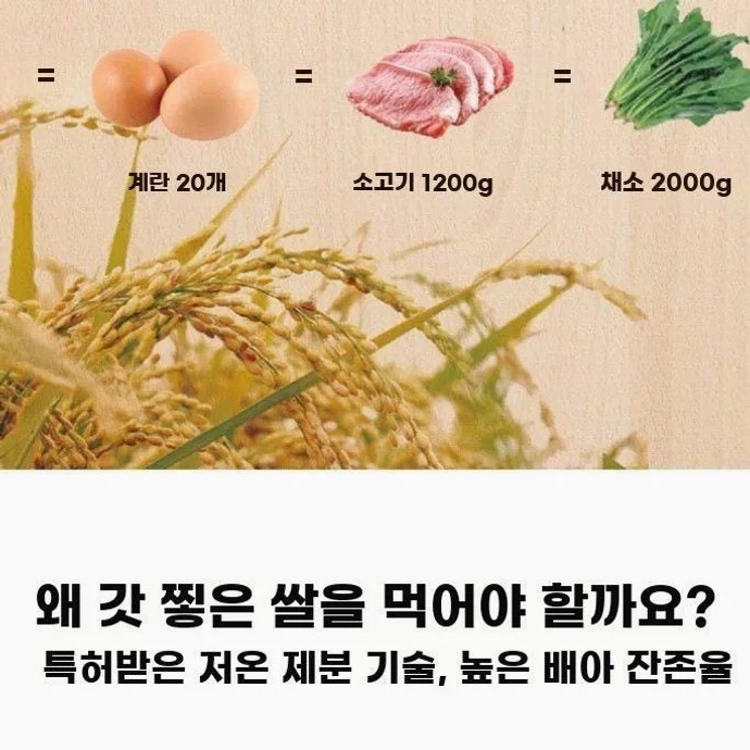 가정용 자동 현미제분기 다기능 도정기 탈곡 분쇄 상세 이미지 4