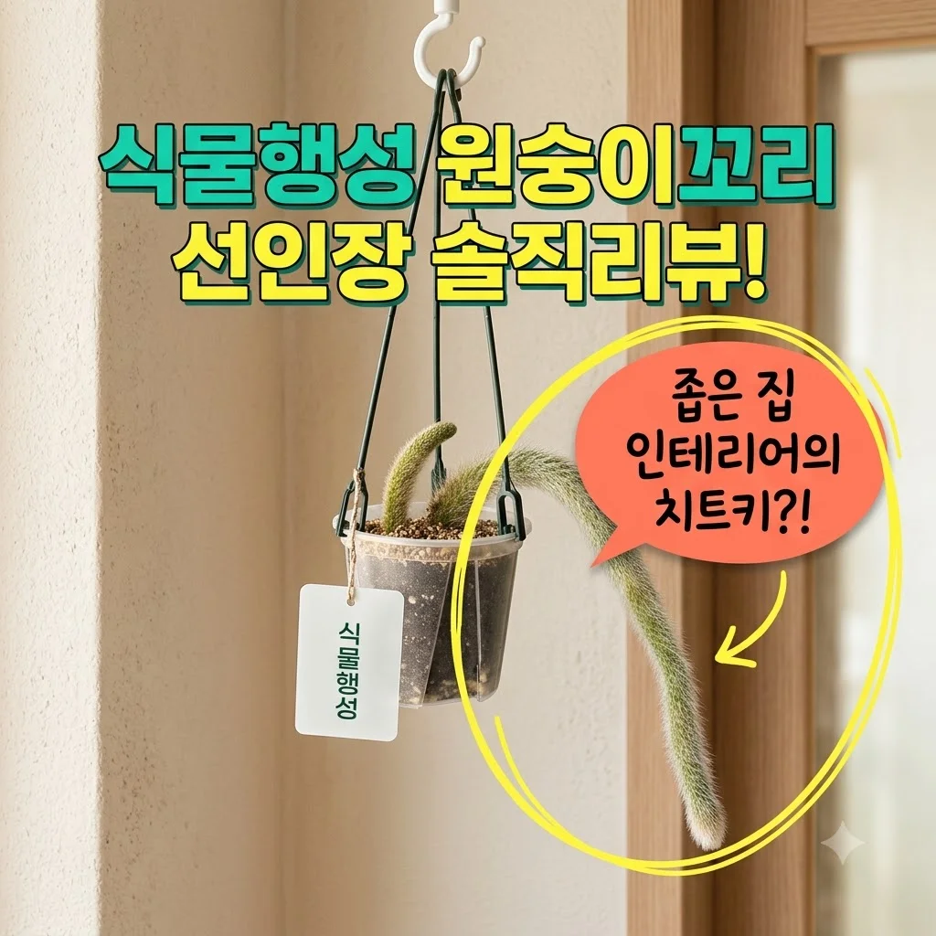 식물행성 원숭이꼬리 선인장, 좁은 집 인테리어의 치트키? 내돈내산 솔직후기