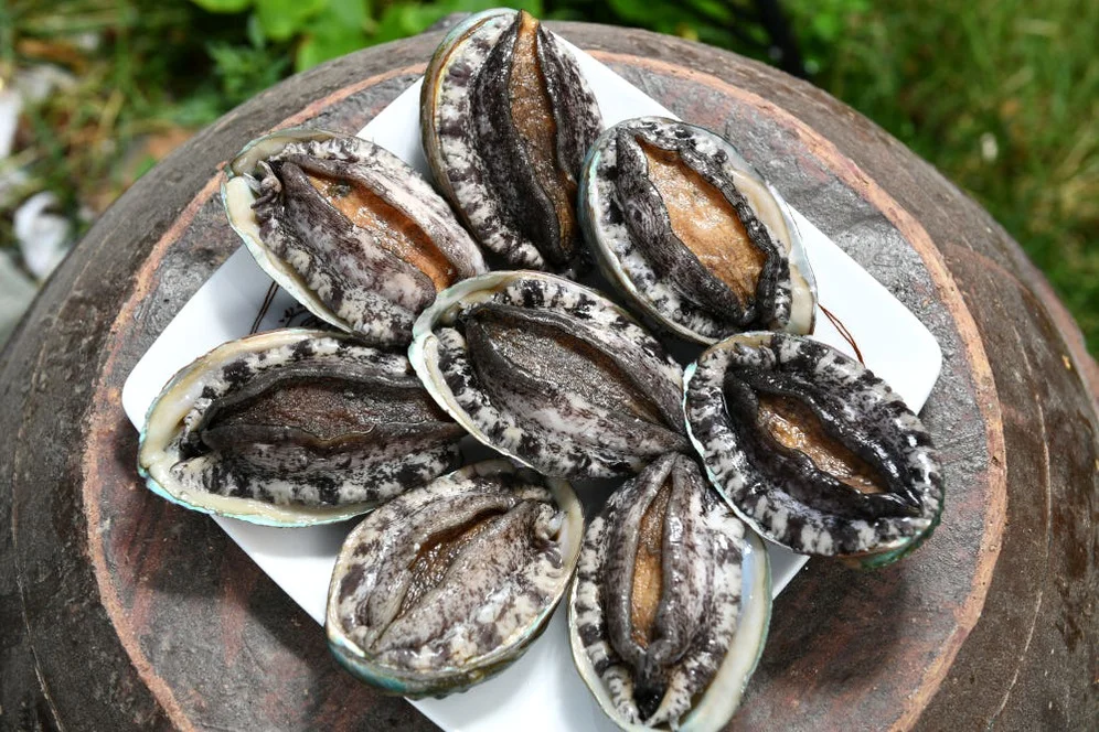 (전복 추석선물세트)완도1호 왕특대전복 2kg(1kg 6-7미) 선물포장 [원산지:국산(전라남도 완도군)] 상세 이미지 2
