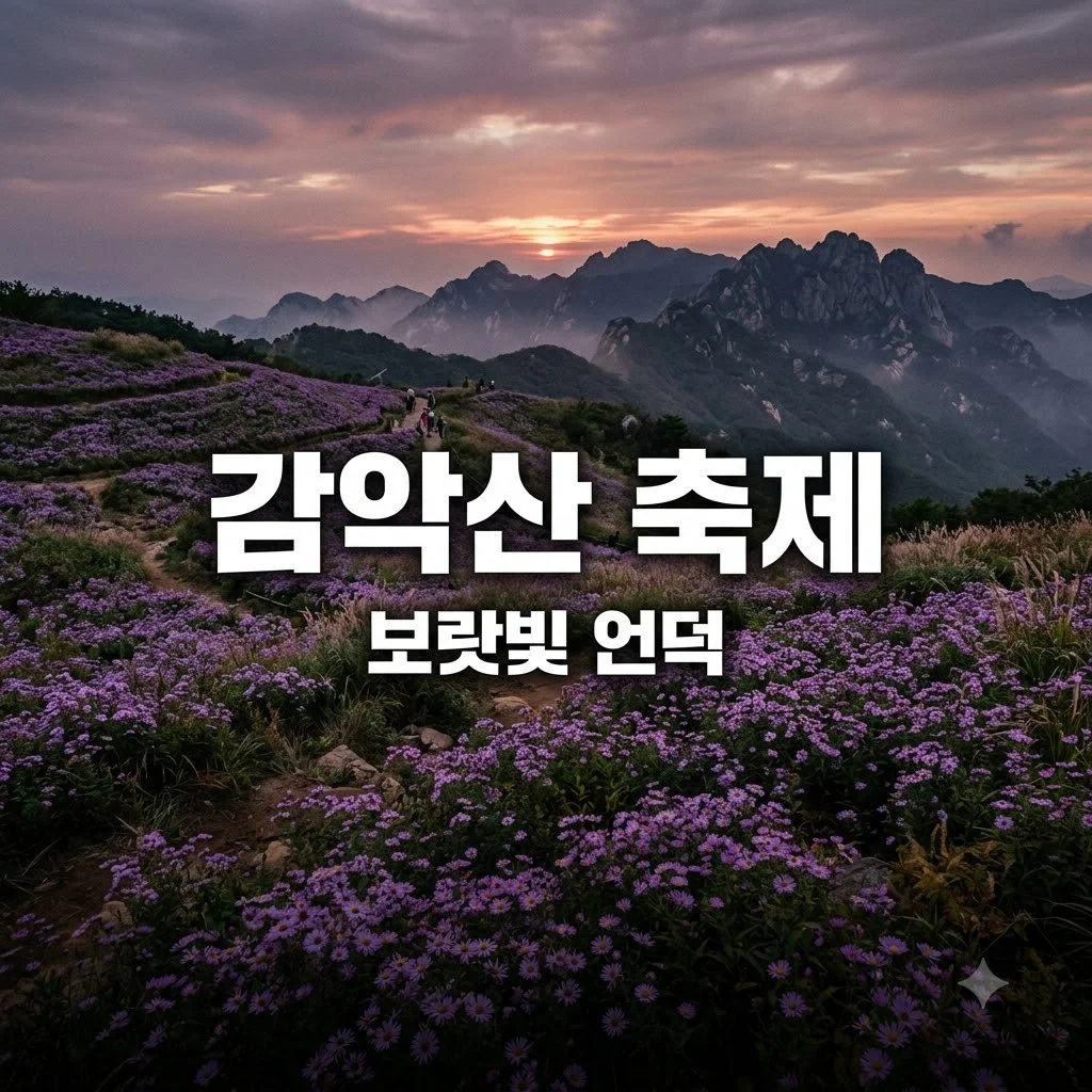 거창 감악산 축제 아스타국화 개화 시기와 인생샷 명소 총정리