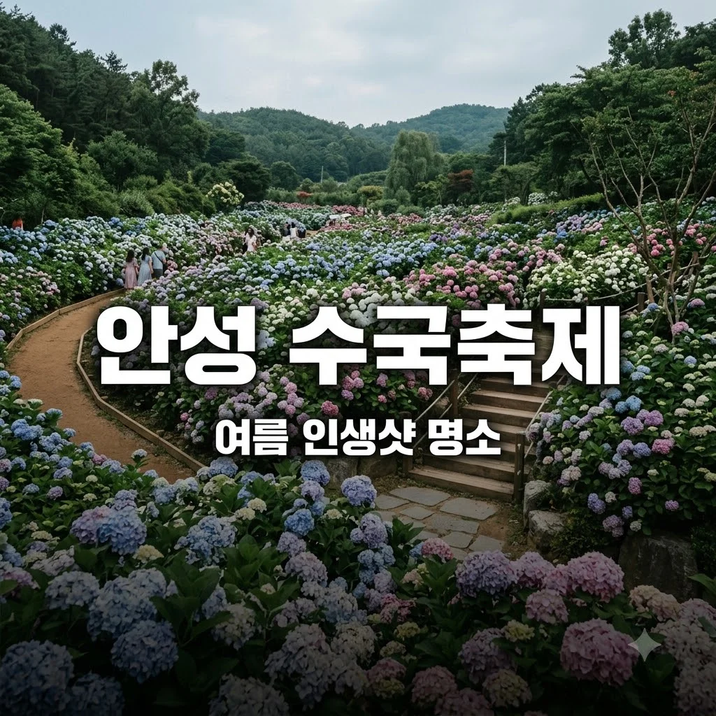 안성 수국축제 가볼만한곳 용설리 개화 시기 인생샷 명소