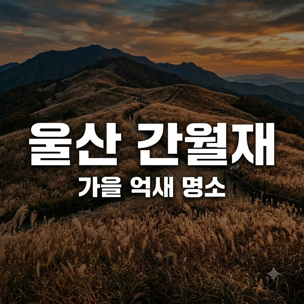 울산 간월재 가을 억새 산행 코스 주차장 예약 꿀팁 총정리