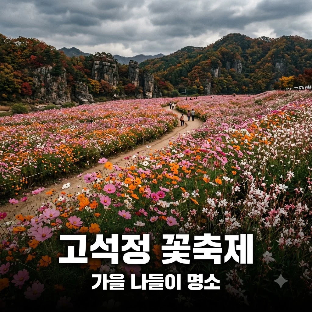철원 고석정 꽃축제 일정과 주차장 완벽 가이드