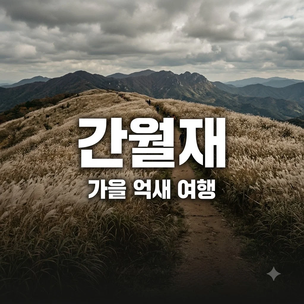 울산 간월재 억새밭 등산 코스 주차장 소요시간 완벽 가이드
