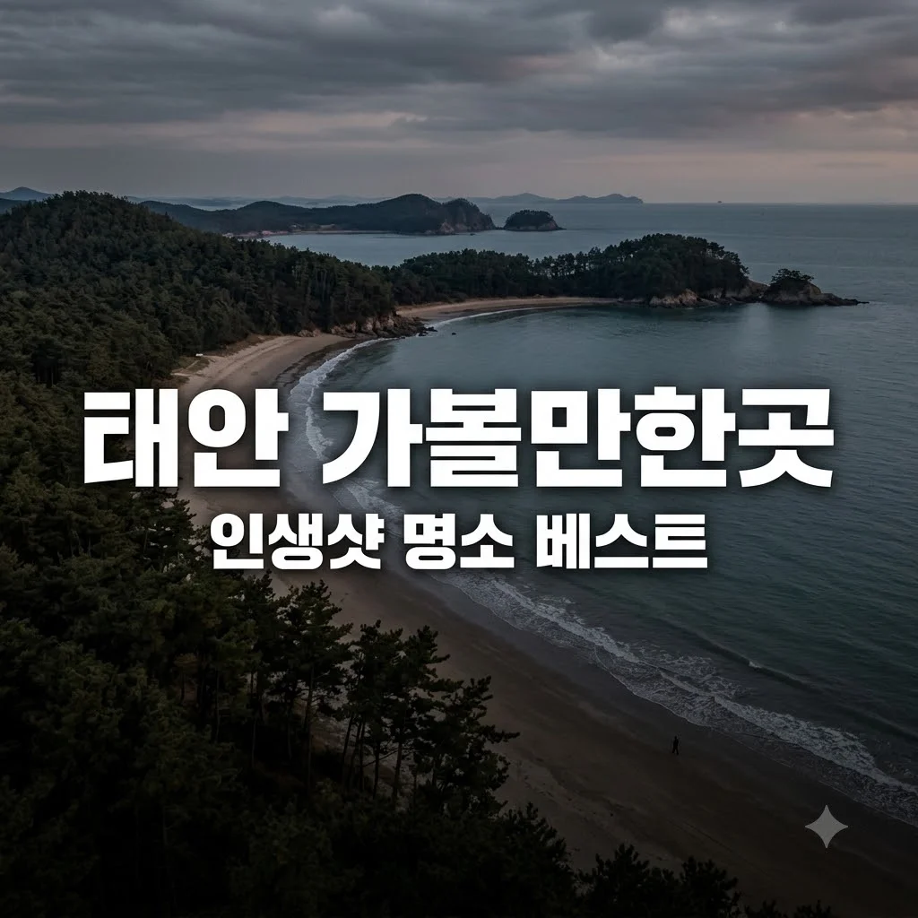 태안 가볼만한곳 베스트 7 완벽 정리와 숨은 명소 추천