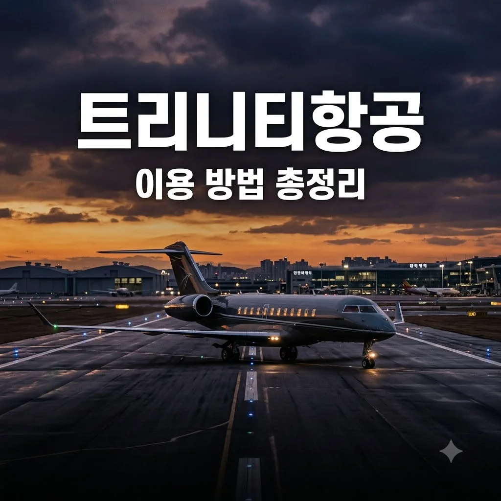 트리니티항공 이용 방법과 예약 팁 총정리