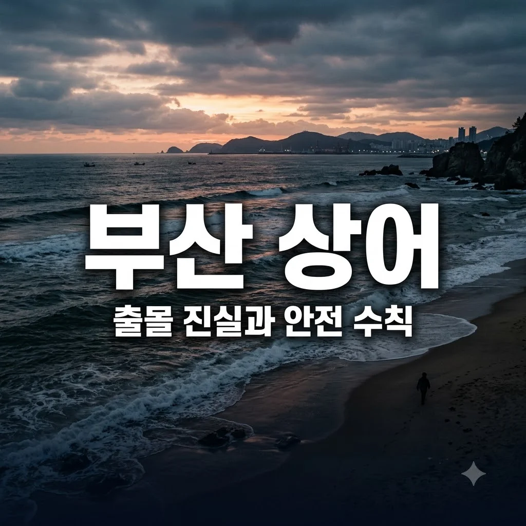 부산 상어 출몰 진실과 해수욕장 안전 수칙 총정리
