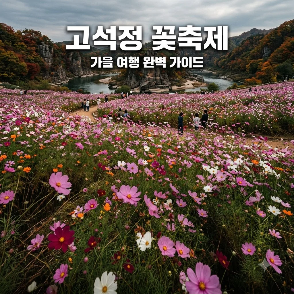 철원 고석정 꽃축제 일정 입장료 주차 가을 여행 코스