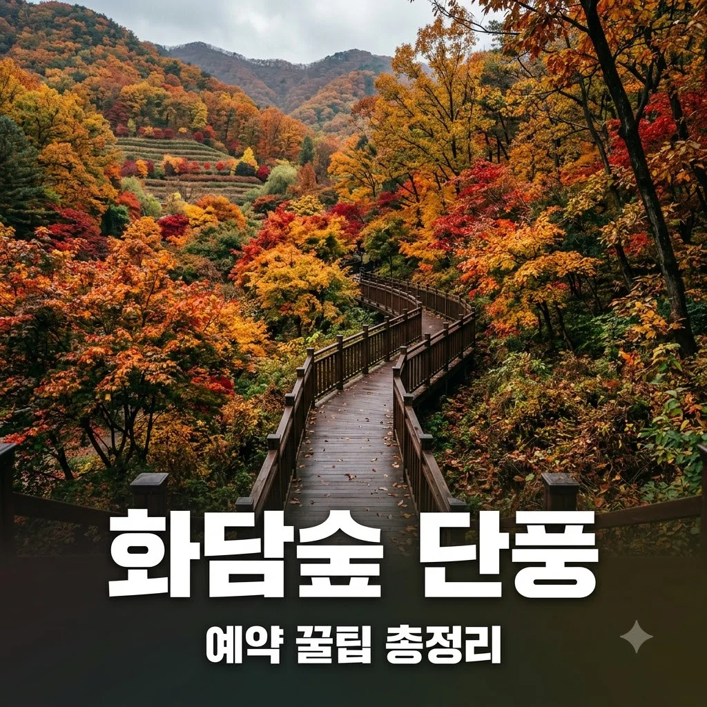 화담숲 예약 방법 및 모노레일 꿀팁 총정리 (2026 최신)