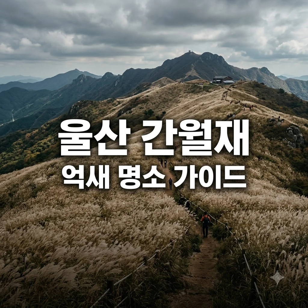 울산 간월재 억새밭 등산 코스 및 주차 정보 총정리