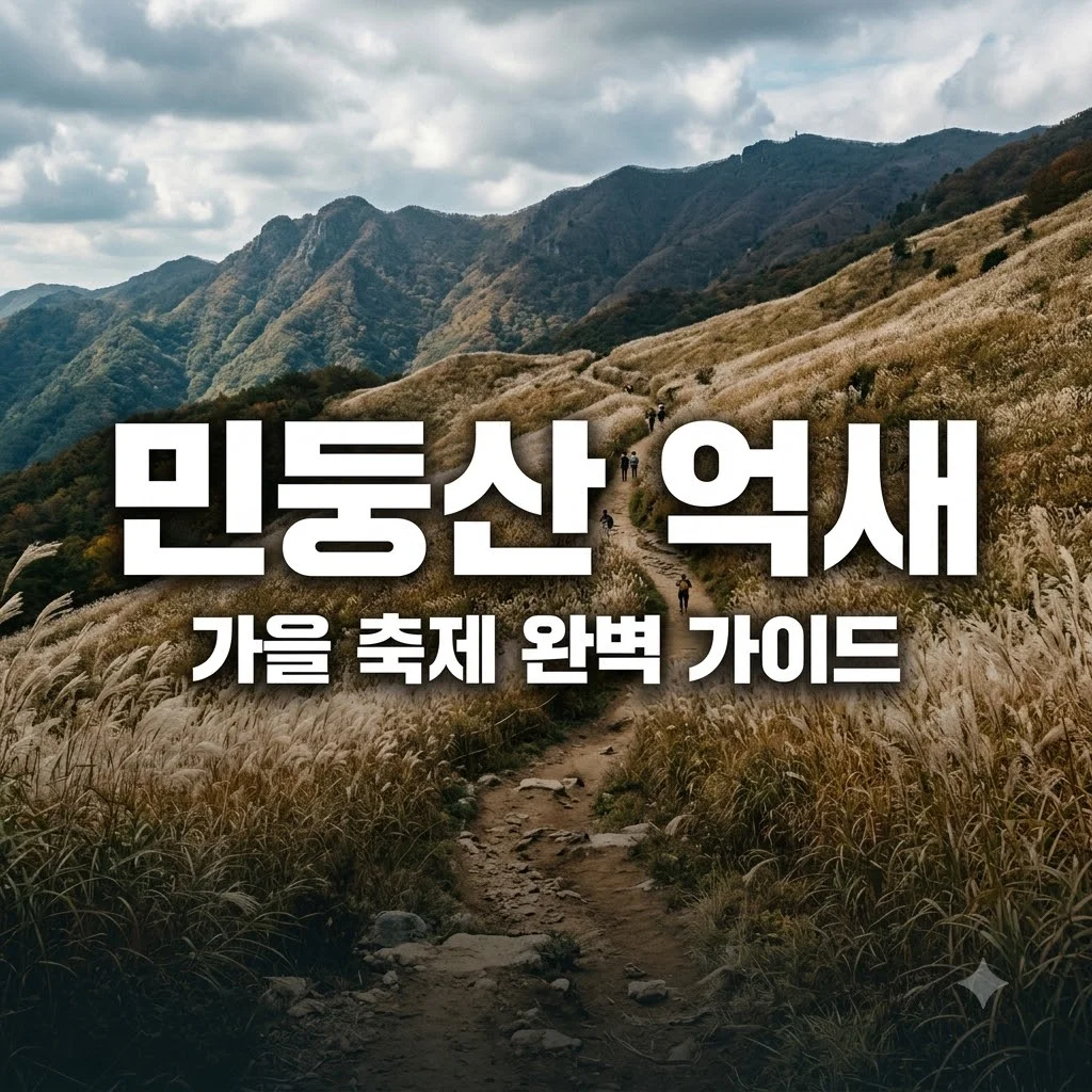 민둥산 억새축제 일정 코스 주차장 완벽 가이드