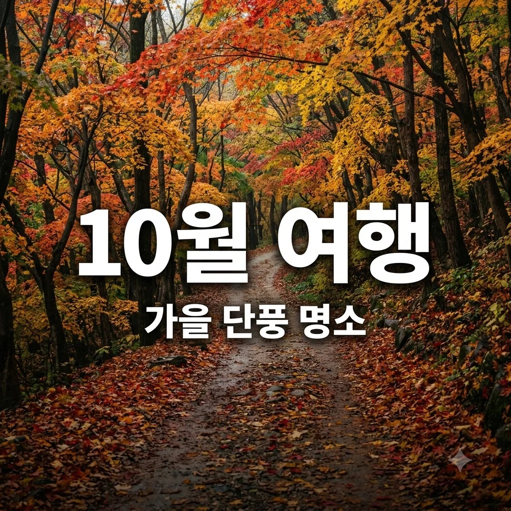 10월 여행지 추천 국내 가을 단풍 명소 베스트 5