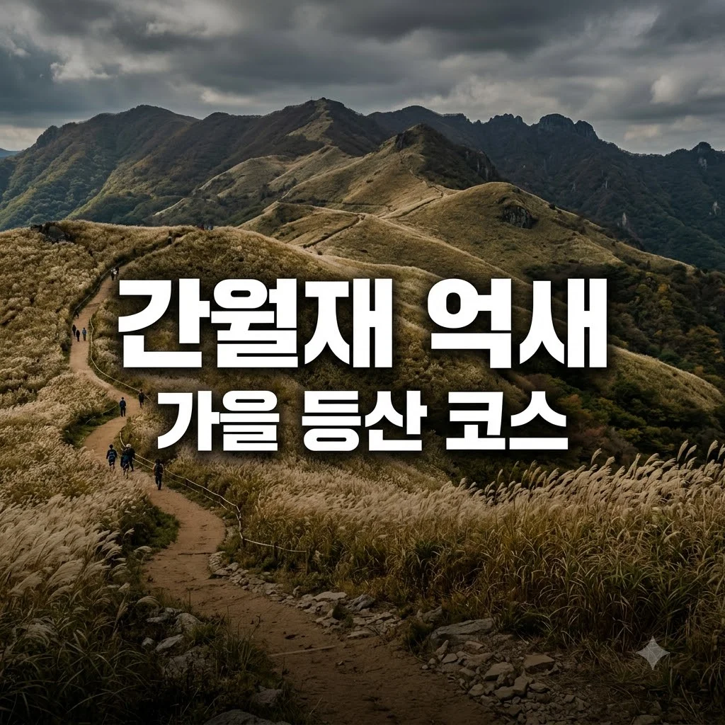 울산 간월재 억새 평원 가을 등산 코스 및 주차장 총정리