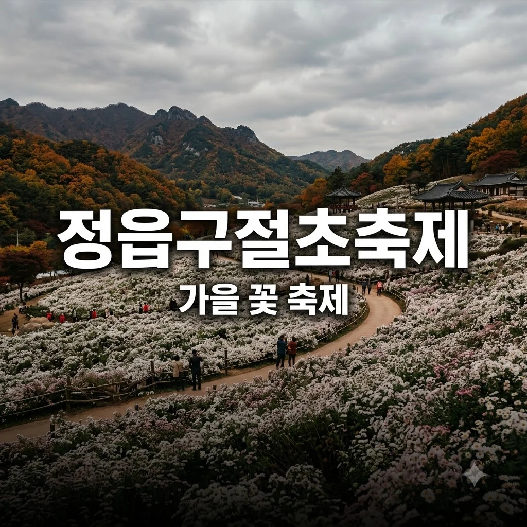 정읍구절초축제 가을 여행 일정 주차 입장료 완벽 가이드