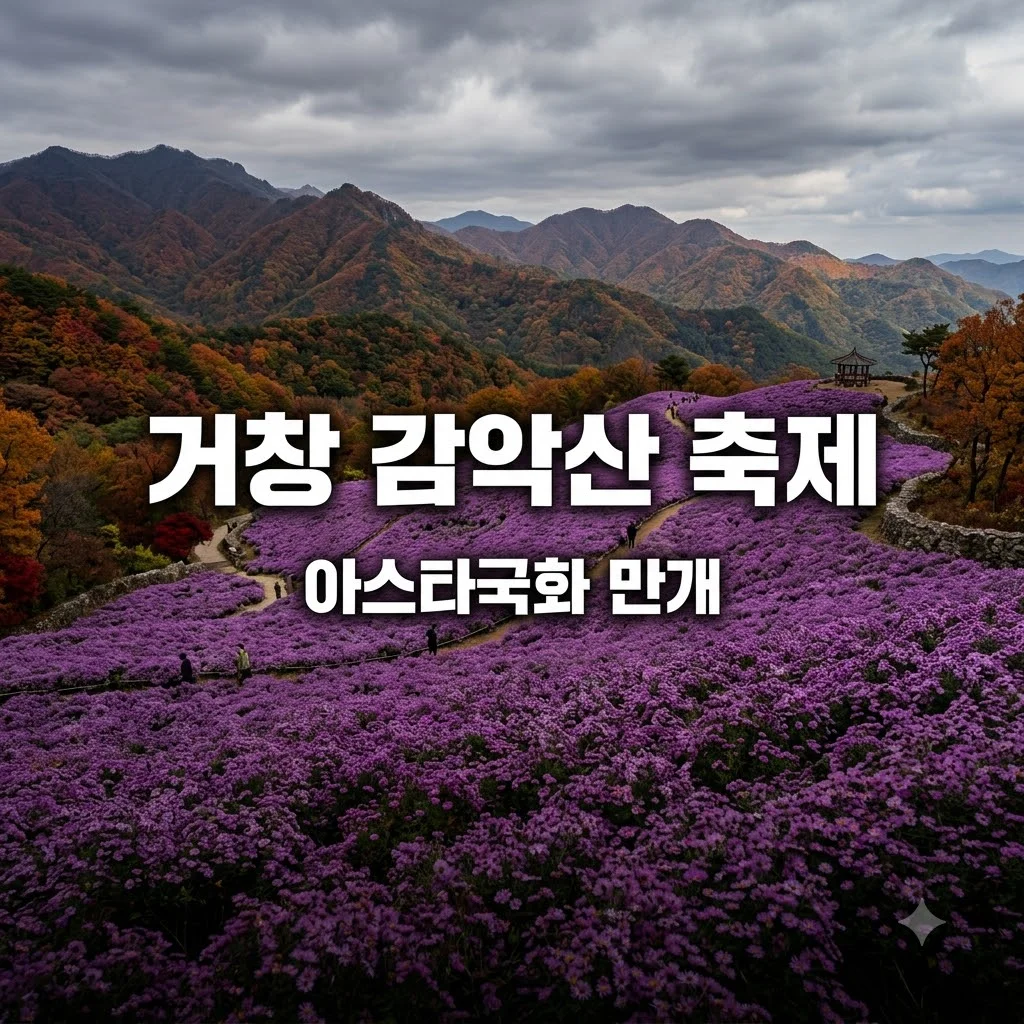 거창 감악산 축제 일정과 아스타국화 개화 시기 총정리