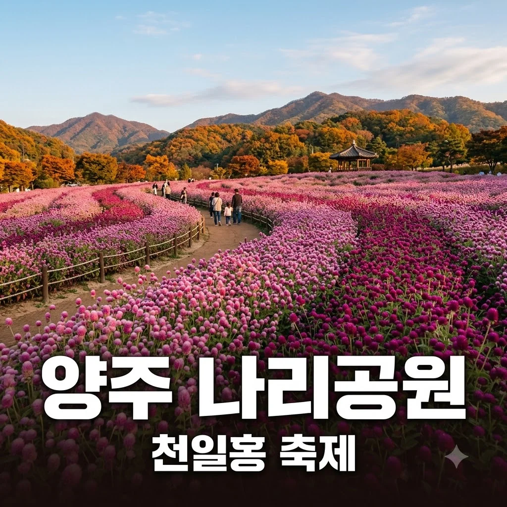 양주 나리공원 천일홍 축제 개화 시기와 입장료 총정리