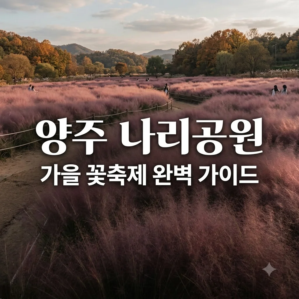 양주 나리공원 10월 꽃축제 주차 꿀팁 3가지